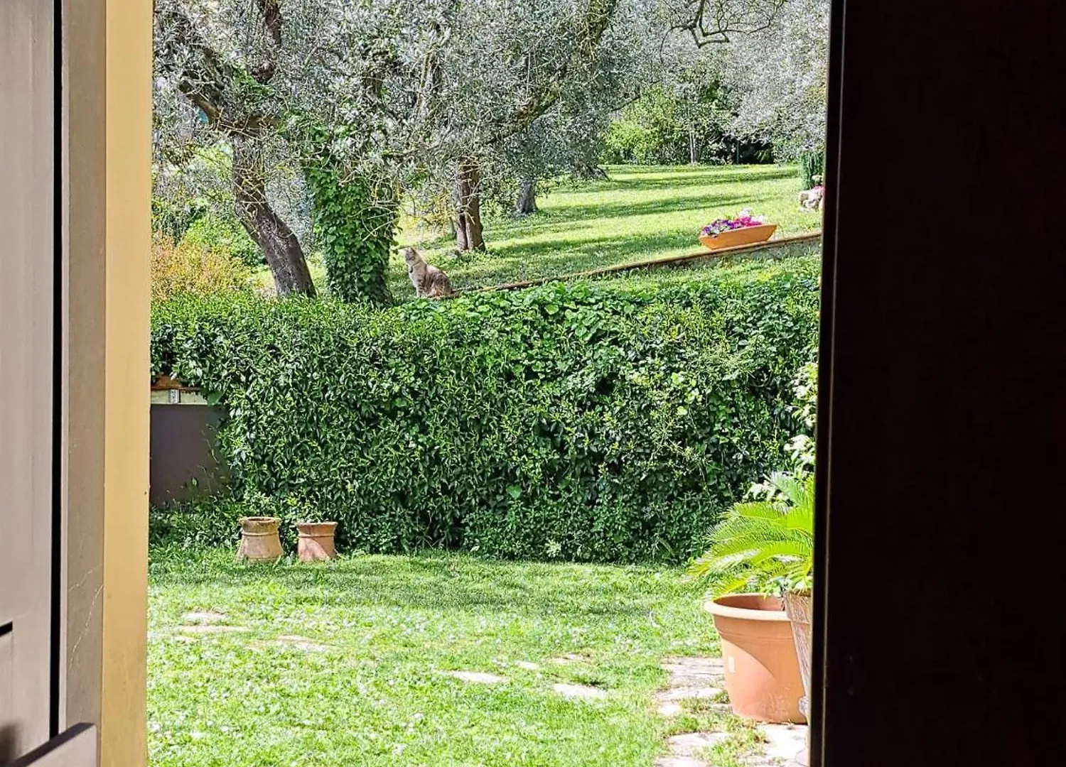 Lägenhet Via Bolognese, 238 Firenze - Villa Emma - Il Tuo Soggiorno Immerso Nel Verde